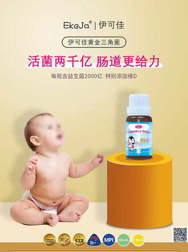伊可佳黃金三角菌2.jpg